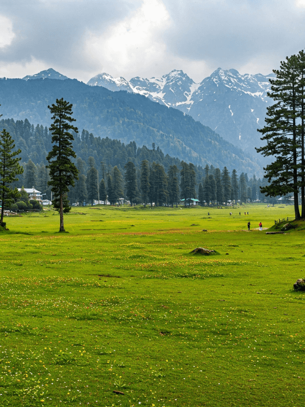 kashmir (1)